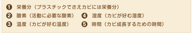 知っておきたいカビが発生する条件！2