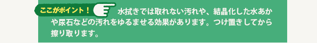 ここがポイント