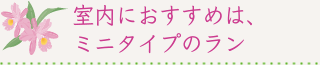 室内におすすめは、ミニタイプのラン